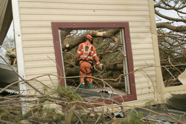 Professional Tree Services in Edna, TX